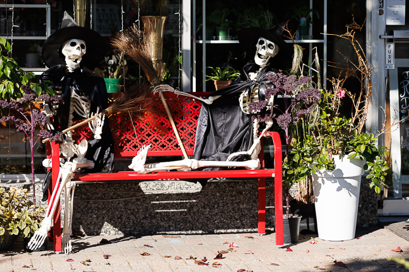 SCS Skelebration